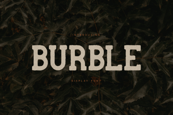 Burble: A Bold Vintage Slab Serif Font for Campaign-Ready Headlines