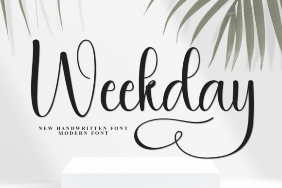 Weekday: A Script Handwritten Font That Makes Your Brand Feel Like a Warm Welcome