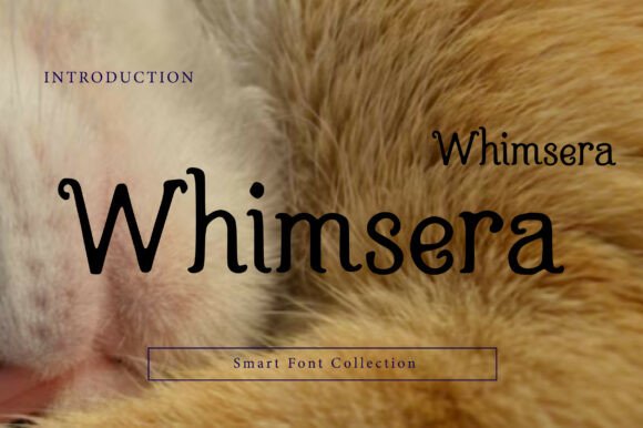 Whimsera Font for Storybook-Style Branding